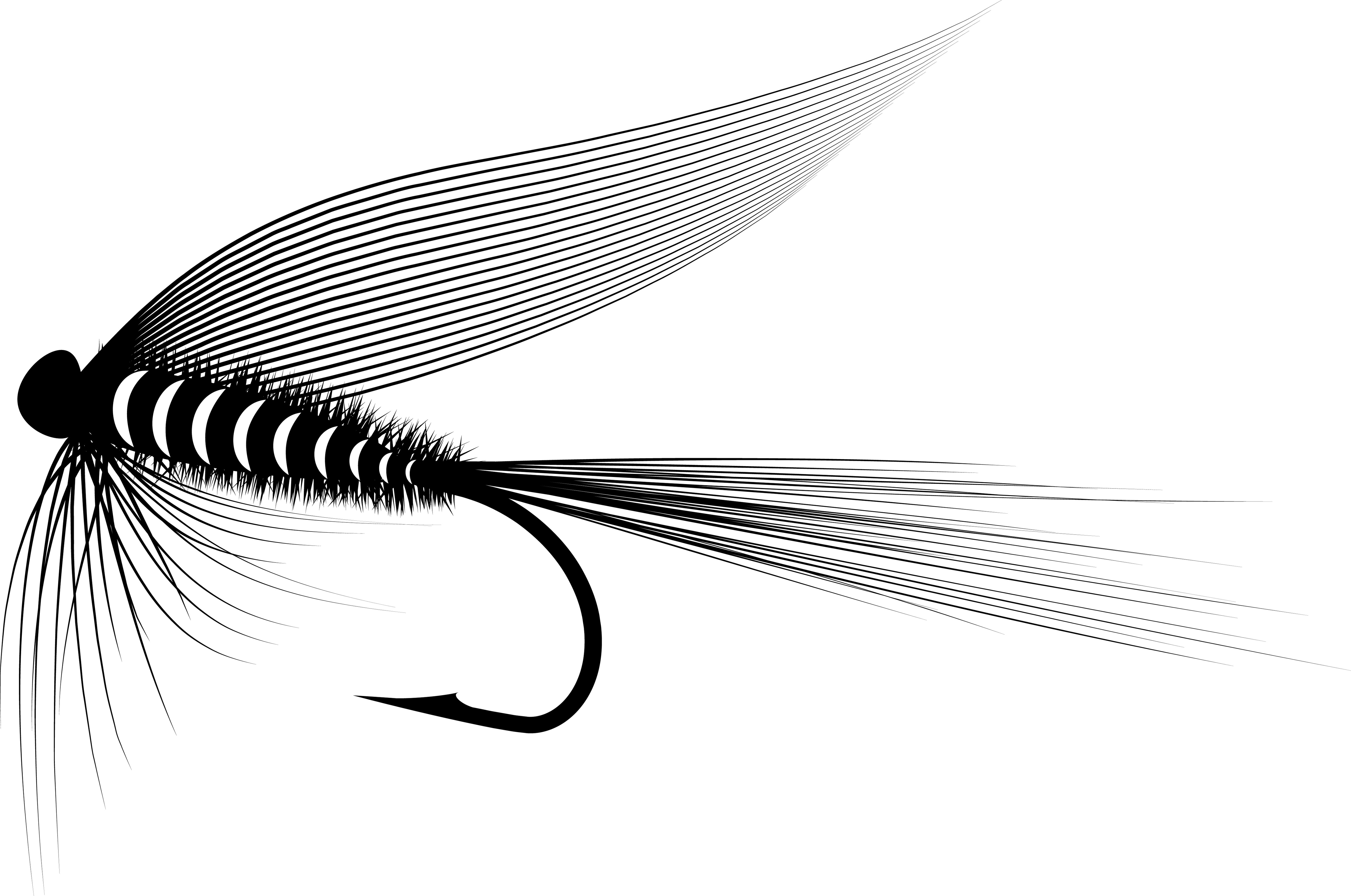 Rob's Mayfly engraving preview